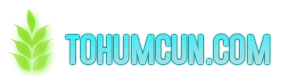 mail.tohumcun.com