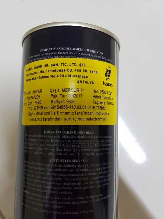 MERCUR 2.jpg