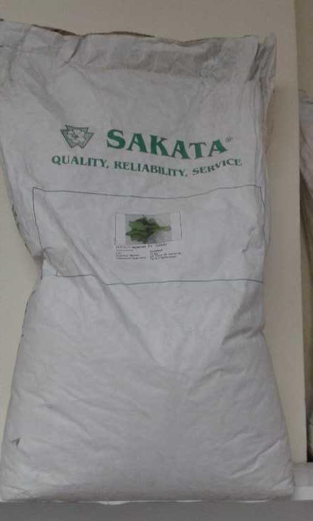 SAKATA F1.jpg