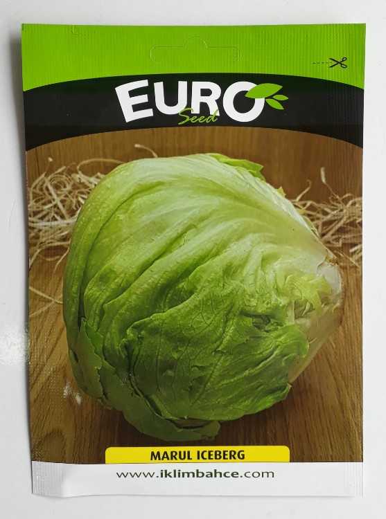 İCEBERG.jpg