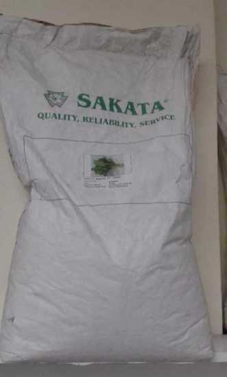 SAKATA  F1 ISPANAK TOHUMU