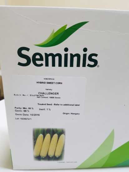 SEMİNİS TATLI MISIR TOHUMU