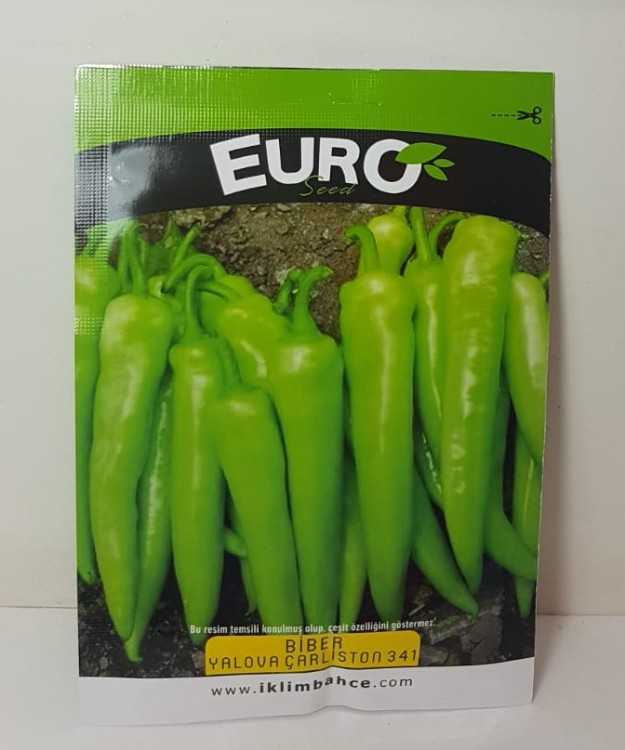 YALOVA ÇARLİSTONNNNNN.jpg
