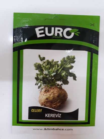 KEREVİZ (KÖK)