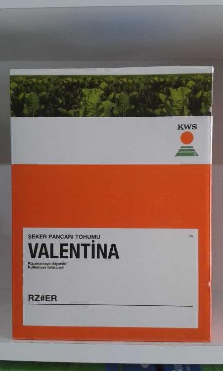 kws valentina pancar tohumu