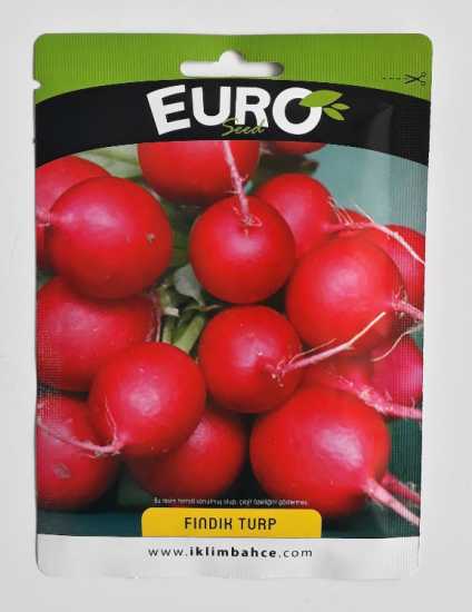 FINDIK TURP TOHUMU