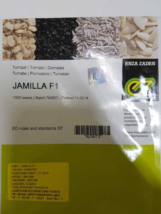 JAMILLA.jpg