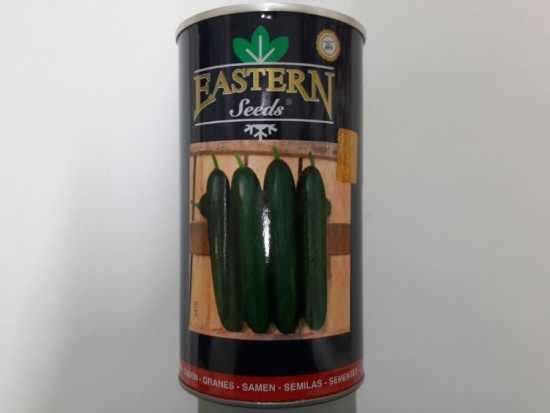 EASTERN - MERCUR F1 - HIYAR TOHUMU - 2500 TOHUM