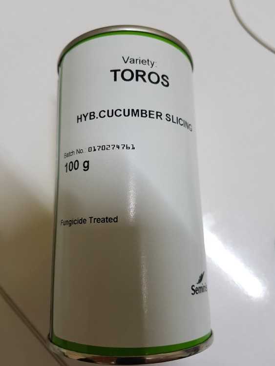 TOROS HIYAR.jpg