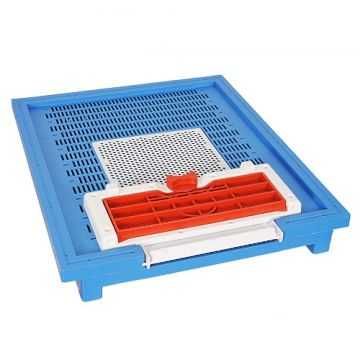 Plastik Taban