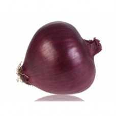 soğan yakut tohumu