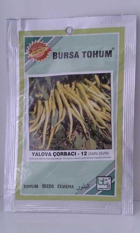 biber yalova çorbacı tohumu