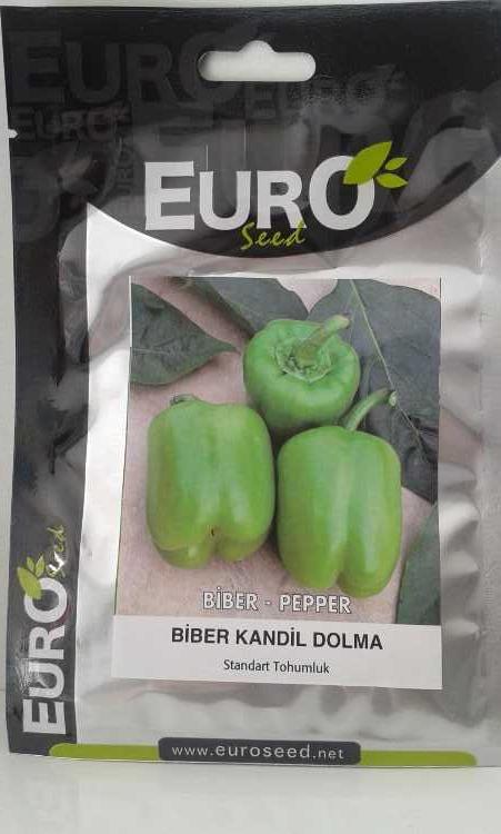 kandil dolma biber tohumu