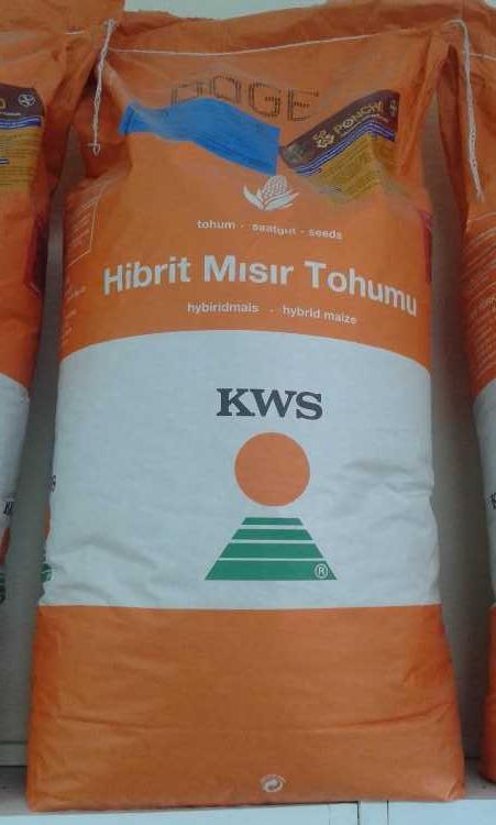 KWS MISIR TOHUMU