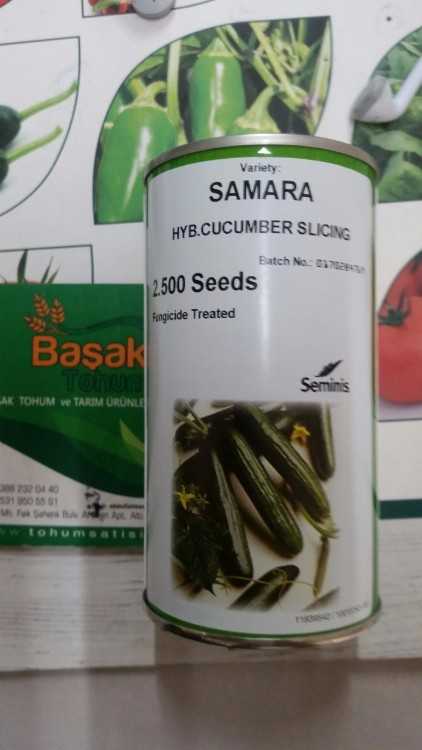 samara1.jpg